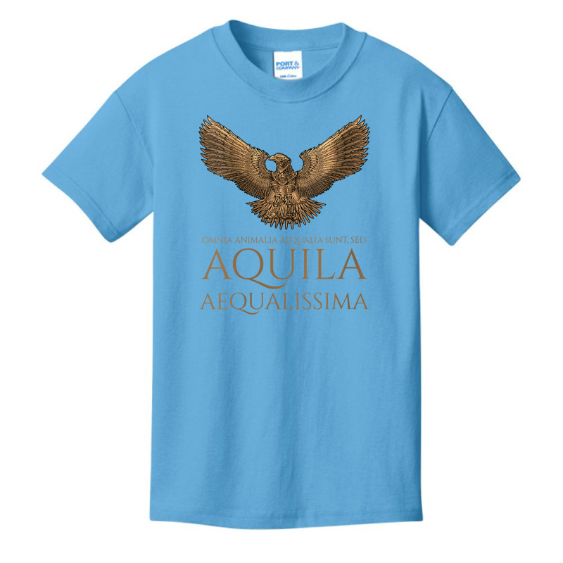 Womens Ancient Rome Latin   The Eagle Is The Most Equal   Steampunk V Basic Youth T-shirt by rennambka | Artistshot