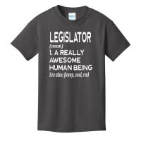 Legislator Definition Funny Legislation Lawmaker Politician T Shirt Basic Youth T-shirt | Artistshot