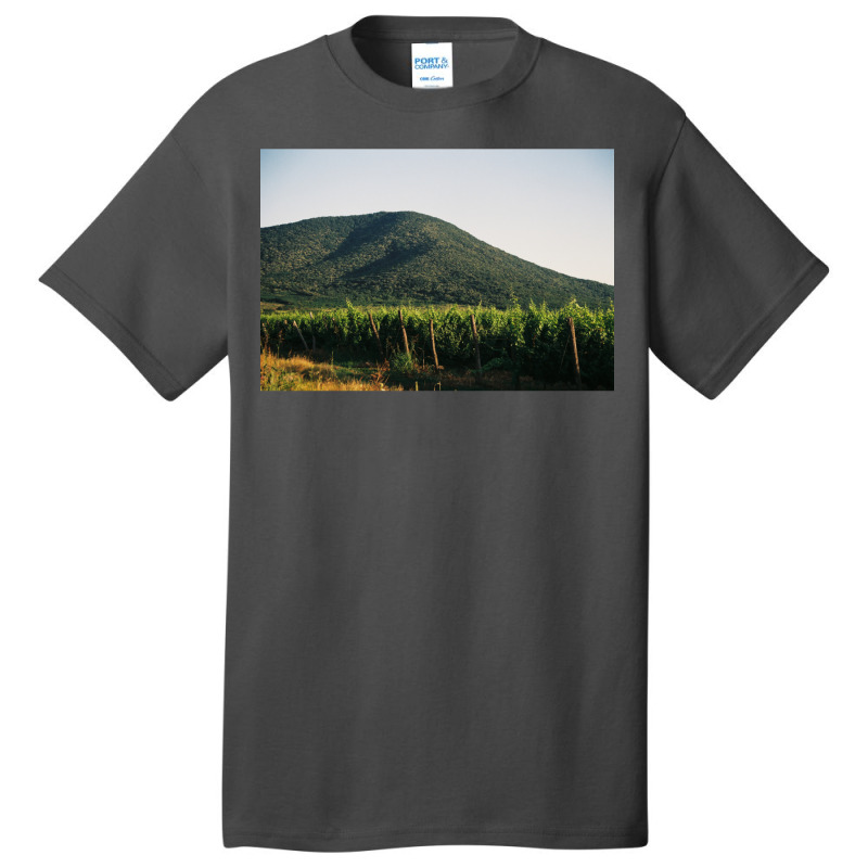 Hill With The Vineyard  Classic  Summer Green Basic T-shirt | Artistshot