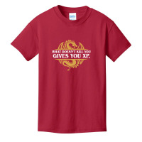 Limited Edition What Doesn't Kill You Gives You Xp Rpg Gamers Basic Youth T-shirt | Artistshot