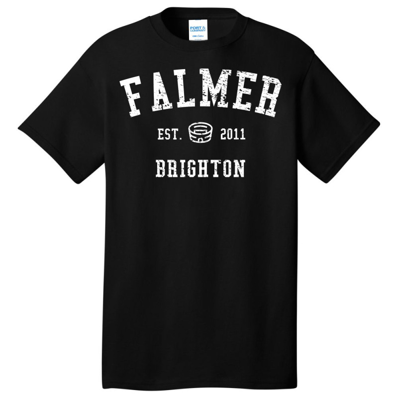 Falmer Stadium Basic T-shirt by sounyariniow | Artistshot