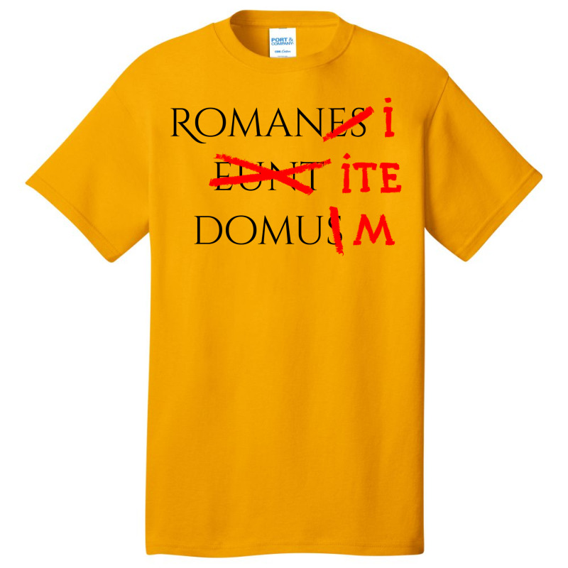 Romans Go Home Basic T-shirt by zkryjelizaq | Artistshot