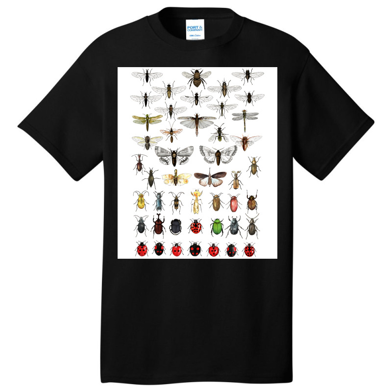 Entomology Illustrations Green Basic T-shirt | Artistshot