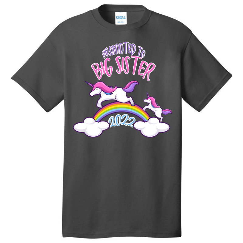 Promoted To Big Sister 2022 1 Basic T-shirt | Artistshot