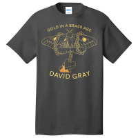 New David Gray In A Tour 2019 Basic T-shirt | Artistshot