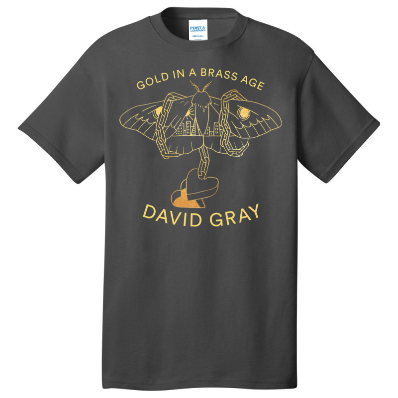 New David Gray In A Tour 2019 Basic T-shirt by deurinnipahy | Artistshot