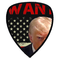 Wanted Donald Trump For President 2024 Usa Flag Shield S Patch | Artistshot