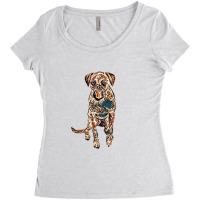 An Active Cattle Dog And Boxe Women's Triblend Scoop T-shirt | Artistshot