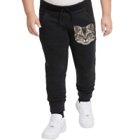 American Shorthair Face Cute American Shorthair Ca Youth Jogger | Artistshot