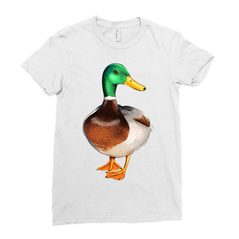 Mallard Duck Ladies Fitted T-Shirt by HRA Design Shop | Artistshot