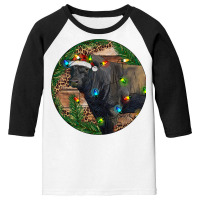 Black Angus Bull With Christmas Lights Youth 3/4 Sleeve | Artistshot