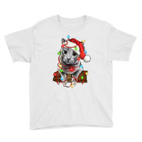 Christmas Russian Blue Cat Youth Tee | Artistshot