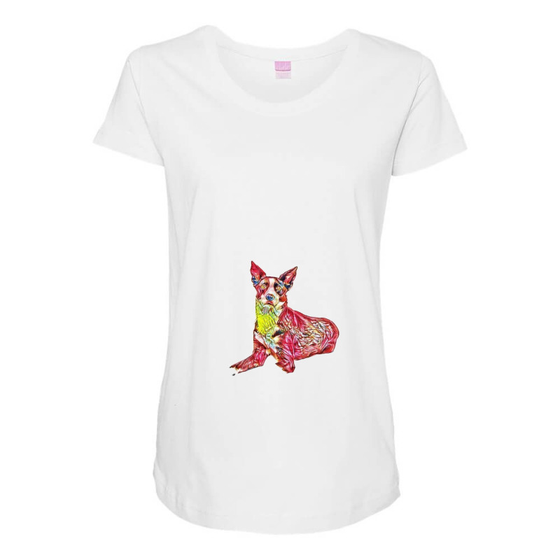 An Alert Border Collie Mix Br Maternity Scoop Neck T-shirt | Artistshot