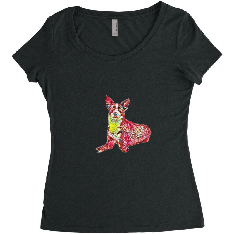 An Alert Border Collie Mix Br Women's Triblend Scoop T-shirt | Artistshot