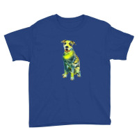 Smiling American Staffordshir Youth Tee | Artistshot