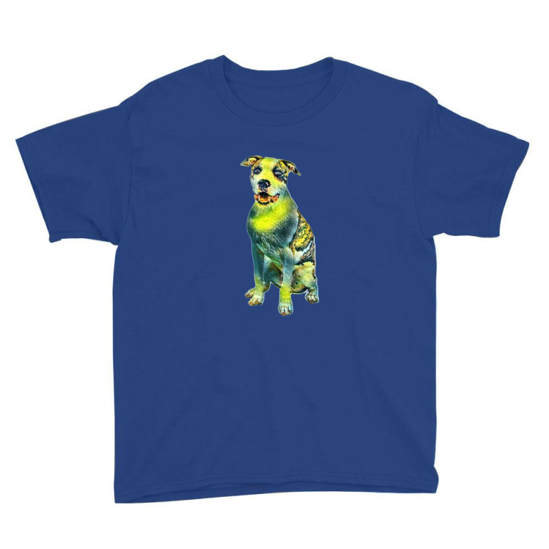 Smiling American Staffordshir Youth Tee by Kemnabi | Artistshot