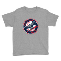 Louisville Bats (1) Youth Tee | Artistshot