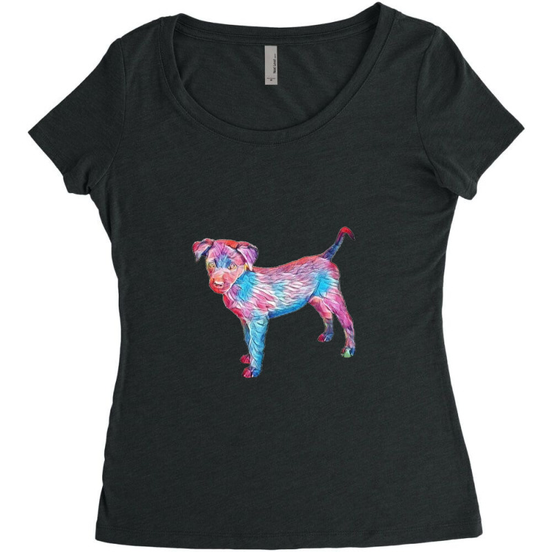 A Cute Black Mixed Breed Pupp Women's Triblend Scoop T-shirt by Kemnabi | Artistshot