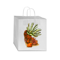 Coral Reef Star Paper Bag - 13 X 7 X 13 | Artistshot