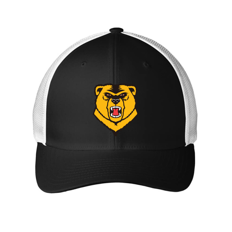 Western New England Golden Bears Mesh Cap | Artistshot