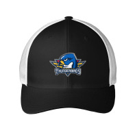 Springfield Thunderbirds Mesh Cap | Artistshot