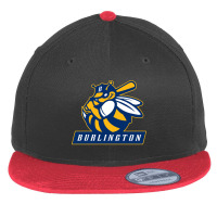 Burlington Gifts,  Bees Flat Bill Snapback Cap | Artistshot