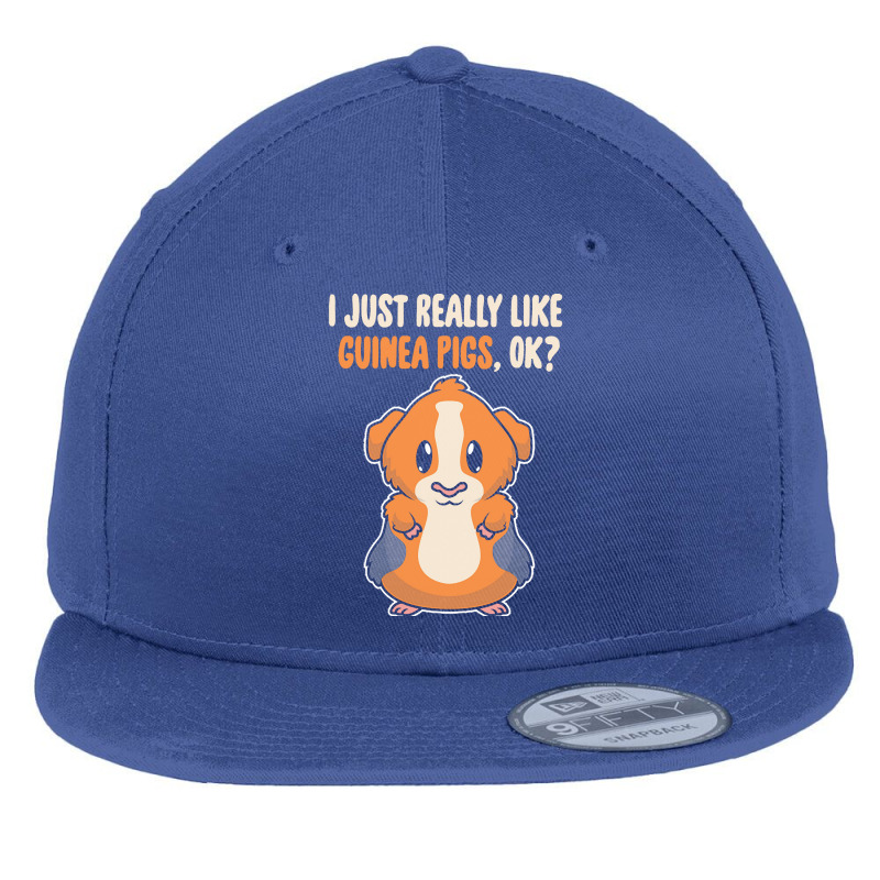 I Just Really Like T  Shirt I Just Really Like Guinea Pigs O K Flat Bill Snapback Cap | Artistshot