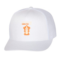 I Just Really Like T  Shirt I Just Really Like Guinea Pigs O K Trucker Cap | Artistshot