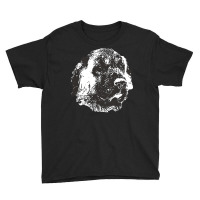 Anatolian Shepherd Dog T  Shirt Anatolian Shepherd Dog   Anatolian Chr Youth Tee | Artistshot