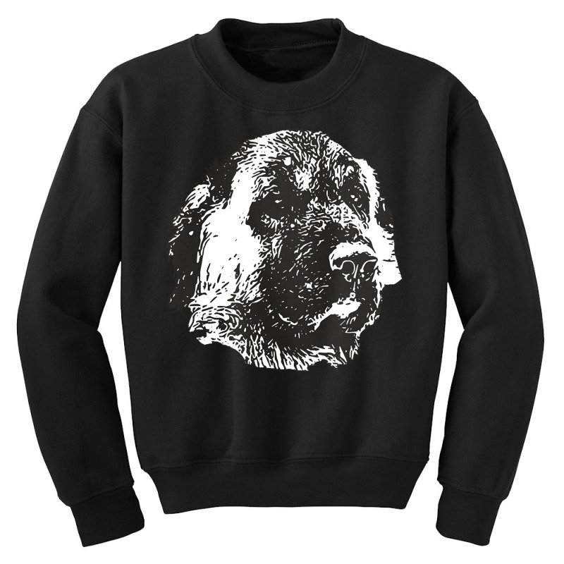 Anatolian Shepherd Dog T  Shirt Anatolian Shepherd Dog   Anatolian Chr Youth Sweatshirt by pitifulhere | Artistshot