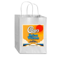 Chicago And Brian Wilson Summer Cub Paper Bag - 8 X 4 1/2 X 10 1/4 | Artistshot