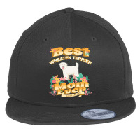 Dog Moms T  Shirt Best Soft Coated Wheaten Terrier Mom   Dog Mom, Dog Flat Bill Snapback Cap | Artistshot