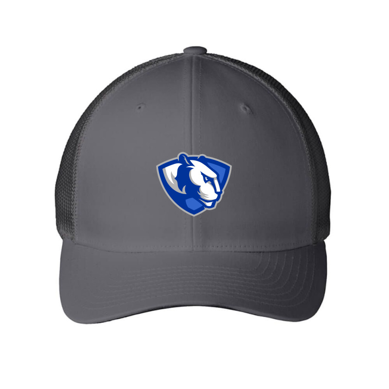 The Eastern Illinois Panthers Mesh cap by immanuel denatn | Artistshot