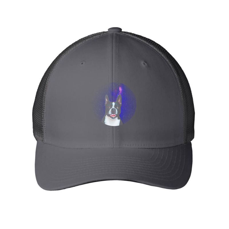 Boston Terrier T  Shirtfunny Boston Terrier Lover Face Dog Galaxy T  S Mesh Cap | Artistshot