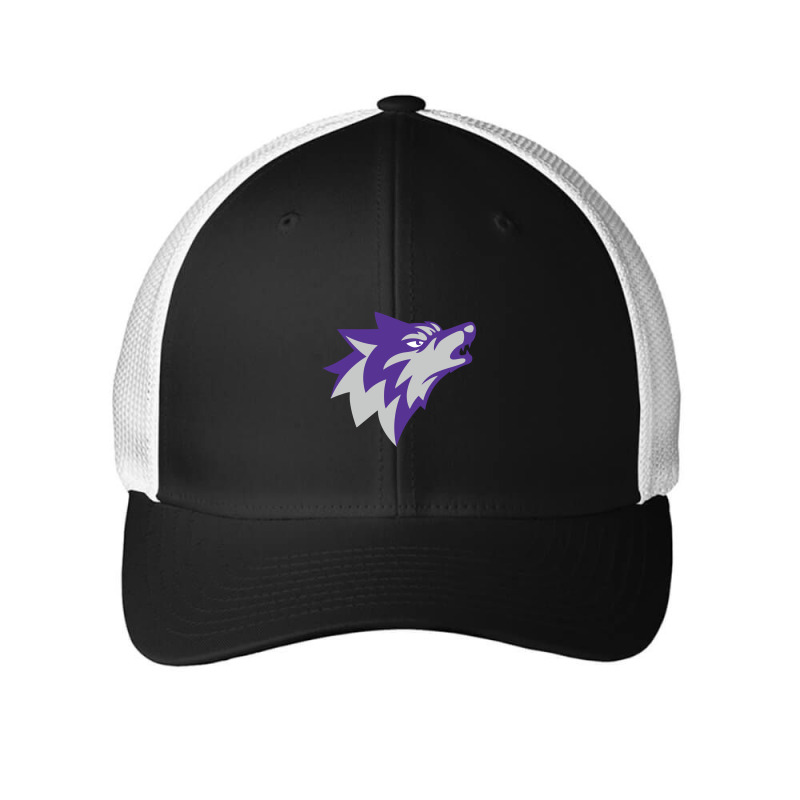 Boston Latin School Mesh cap by Shane wayne | Artistshot