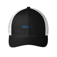 Blue Sky Studios Mesh Cap | Artistshot