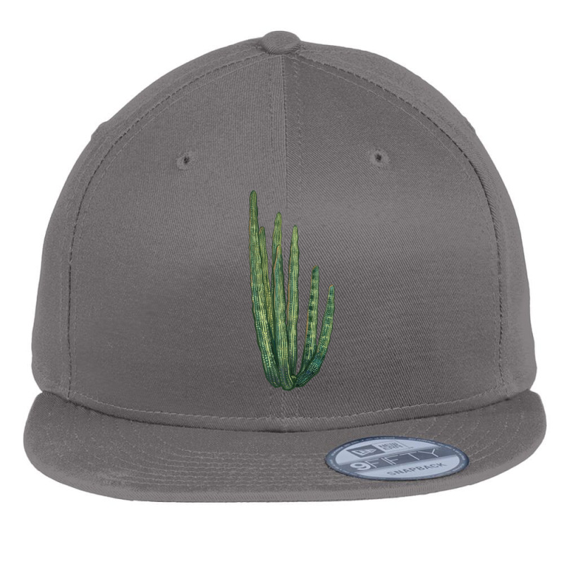 Organ Pipe Cactus Flat Bill Snapback Cap by LillyAllenDesigns | Artistshot