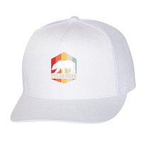 Bear Polar Bear Retro Colorful Sunset White Bears 510 Forest Trucker Cap | Artistshot