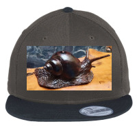 Snail Flat Bill Snapback Cap | Artistshot