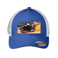 Snail Mesh Cap | Artistshot