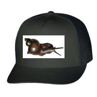 Snail Art Trucker Cap | Artistshot