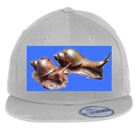 Snail Flat Bill Snapback Cap | Artistshot