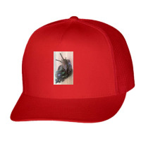 Snail Never Underestimate A Girl With A Snail T Shirt Trucker Cap | Artistshot