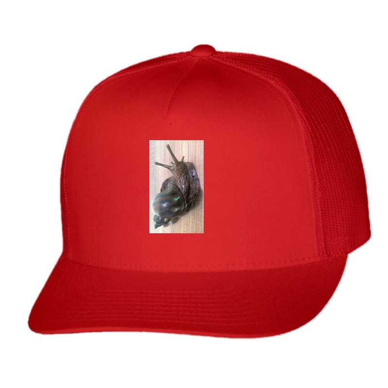 Snail Never Underestimate A Girl With A Snail T Shirt Trucker Cap by argo | Artistshot