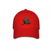 Sea Lion Illustrations Baseball Cap | Artistshot