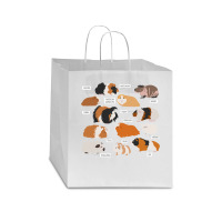 Guinea Pig Breeds Shirt Shirt Costume Clothing Accessories T Shirt Star Paper Bag - 13 X 7 X 13 | Artistshot