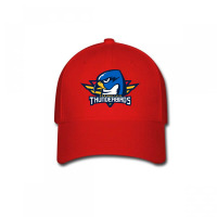 Springfield Thunderbirds Baseball Cap | Artistshot