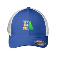 Pickle Lover T  Shirt I'm Kind Of A Big Dill T  Shirt Mesh Cap | Artistshot