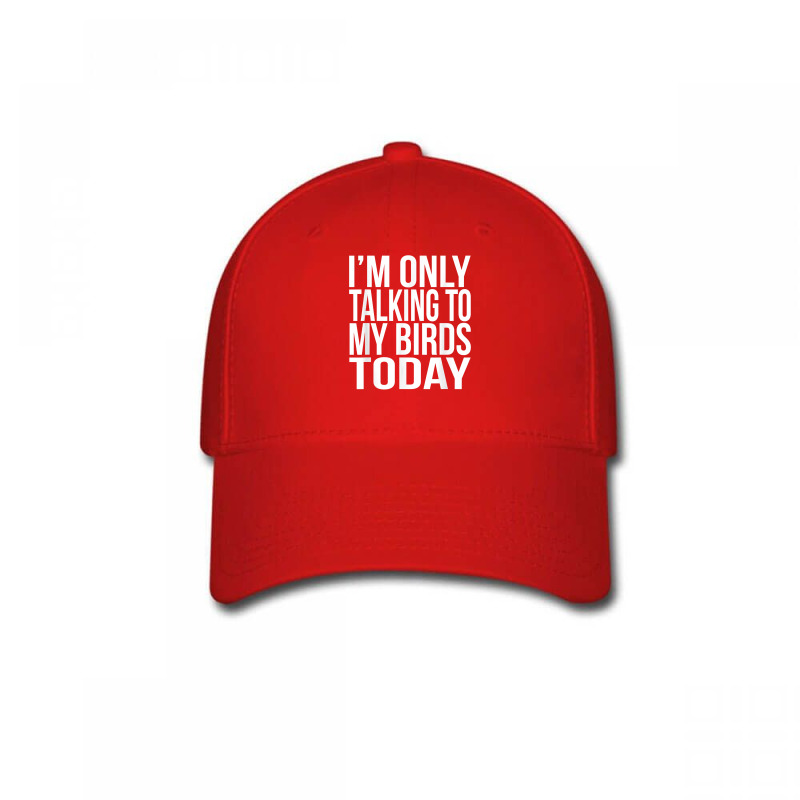 I'm Only Talking To My Birds Today Gift For A Pet Bird Lover T Shirt Baseball Cap by annalyneplacencia | Artistshot