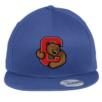 Cool,cornell,big,red Flat Bill Snapback Cap | Artistshot